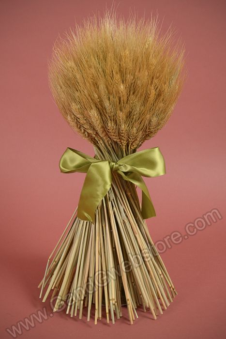 Craft Store Wheat Grasses Craft Store Wheat Grasses