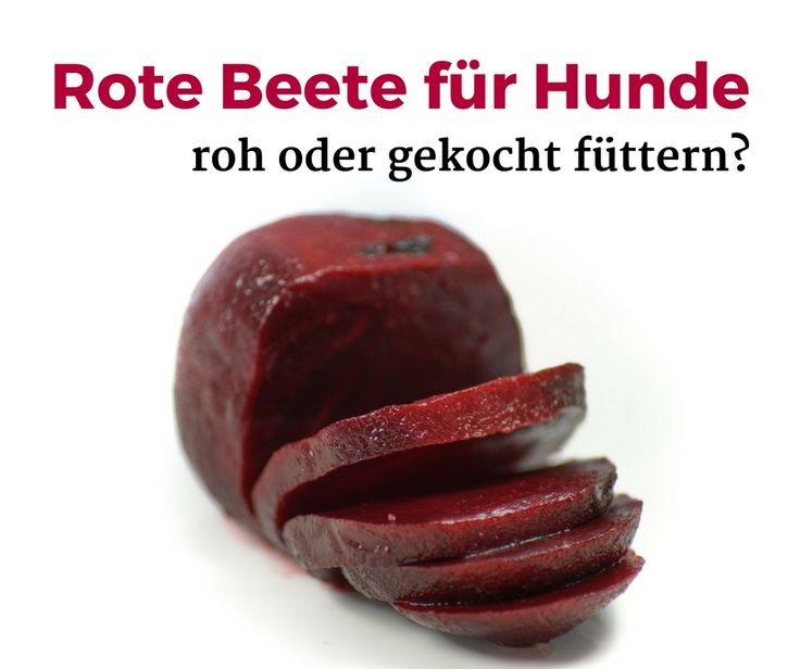 Gemischtrassiger Mutter Rote Lutschen