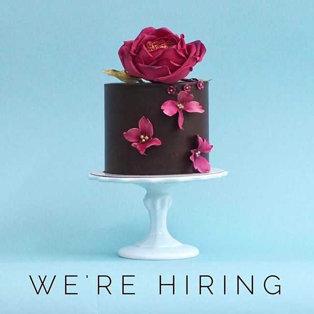 cake decorator cover letter