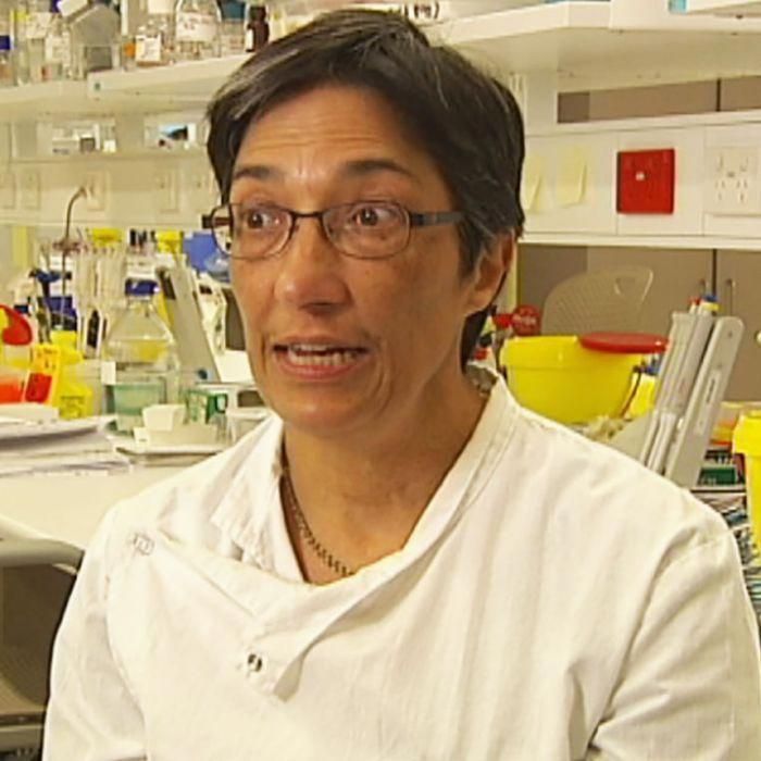 Researchers at the University of Queensland have developed a breakthrough vaccin...