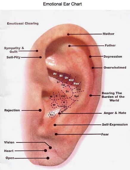33 best ear acupressure images on pinterest acupuncture ovaries reflexology foot chart