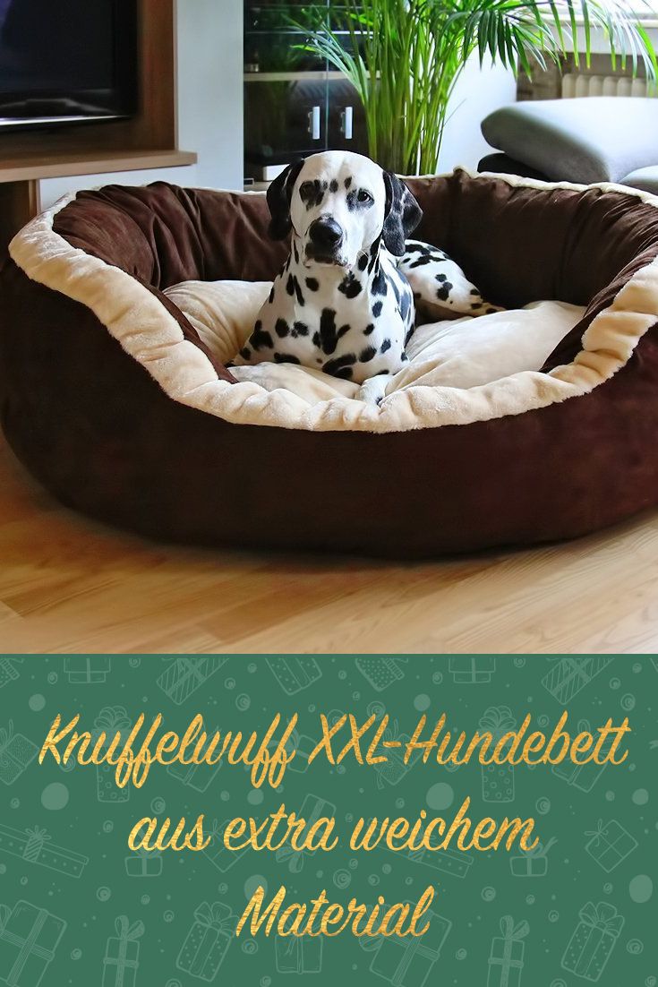 Kuschelig weich: Das Hundebett „Heaven“ beschert Eurem Möchtet ihr euren Hund zu Weihnachten mit einem kuscheligen