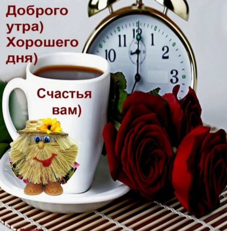 Алиса открытки доброе утро доброго дня и хорошего настроения