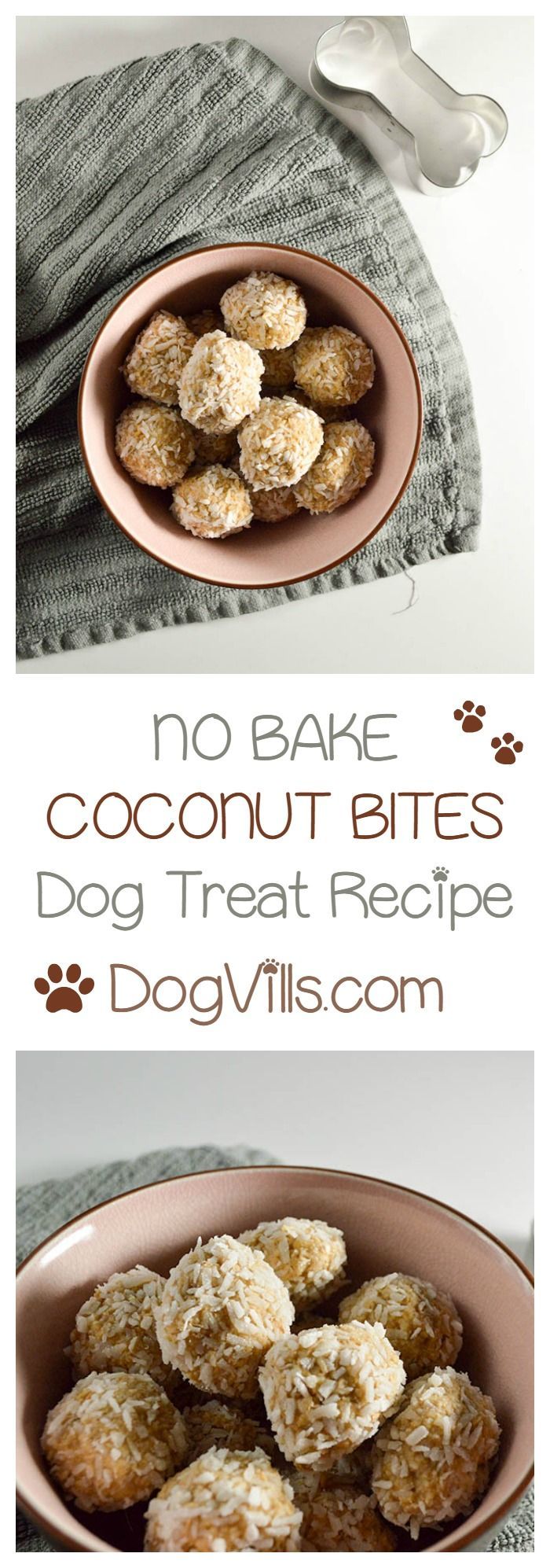 Homemade Dog Food Recipe For Itchy Skin Homemade Dog Food Recipe For Itchy Skin