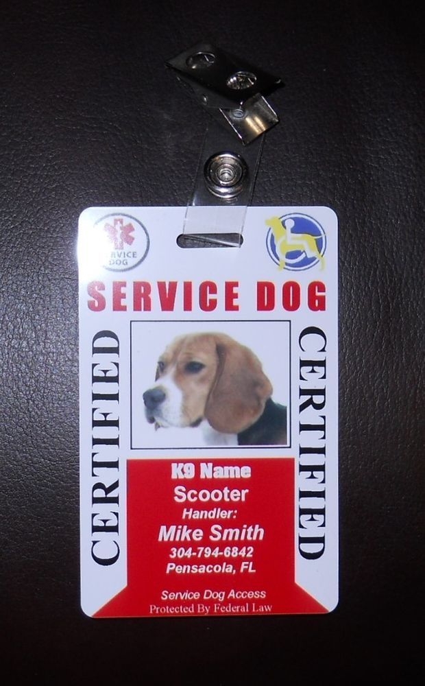 What Training Does A Esa Dog Need What Training Does A Esa Dog Need