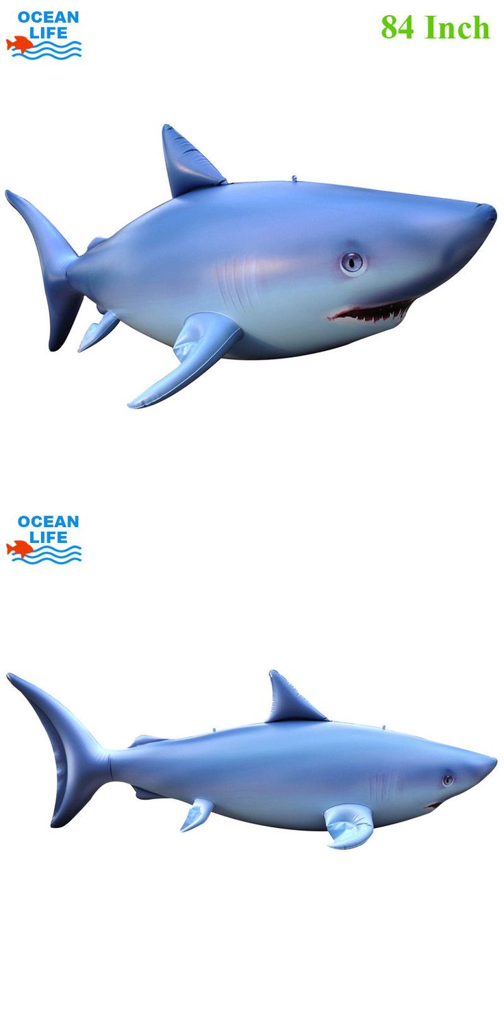 floating shark toy