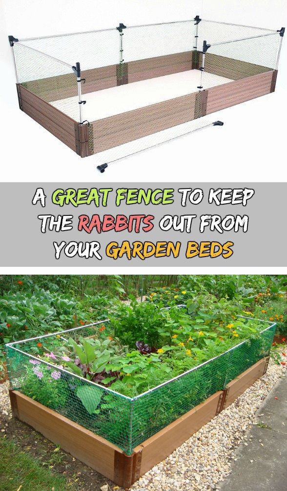 The Raised Bed Rabbit Fence Is A Simple But Effective Way To Keep Rabbits And Other Small Ani Vegetable Garden Beds Building Vegetable Garden Raised Beds, How Tall Should A Raised Garden Bed Be To Keep Rabbits Out