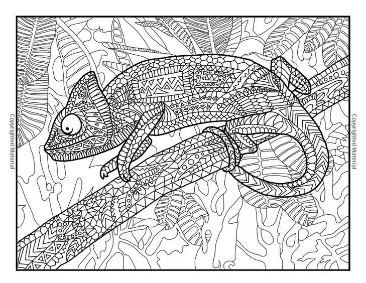 157 best Desene de colorat images on Pinterest Zentangle Doodle