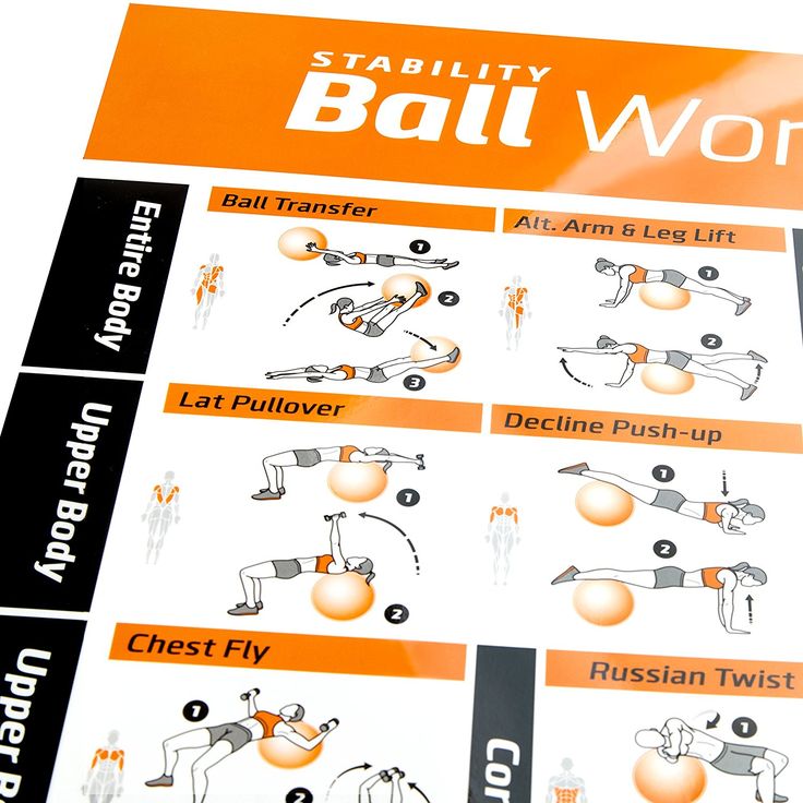 Personal Trainer Fitnes... Exercise Ball Poster Laminated Total Body Workout Personal Trainer Fitnes... Exercise Ball Poster Laminated Total Body Workout