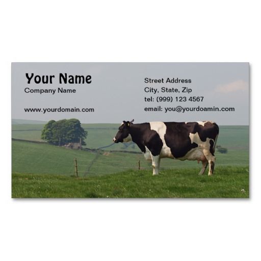 veterinary business cards