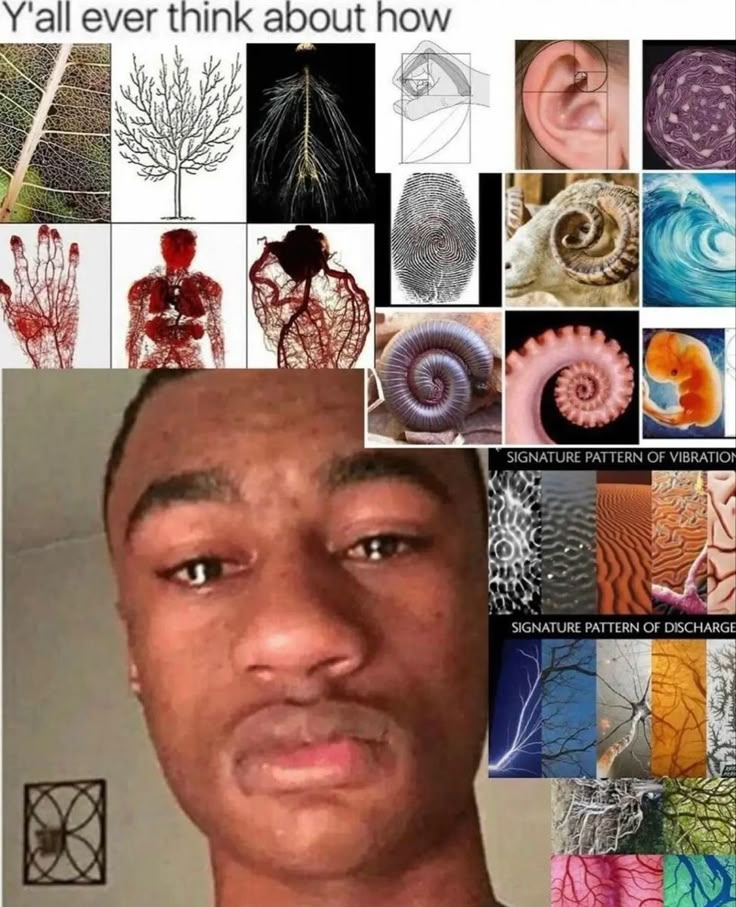A Collage Of Pictures With Different Types Of Human Body Parts And A Collage Of Pictures With Different Types Of Human Body Parts And
