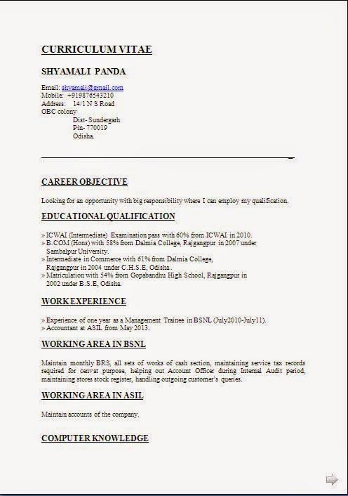 cv presentation sample template example ofexcellent cv templates 61 free samples examples format download