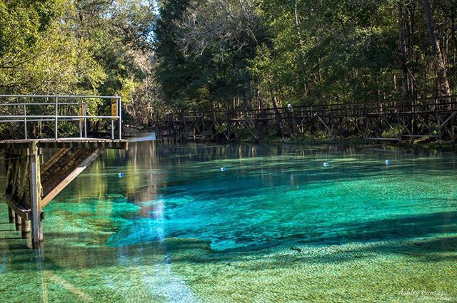 12 Prettiest Springs In Florida Florida Springs Florida Travel Guide Florida Travel