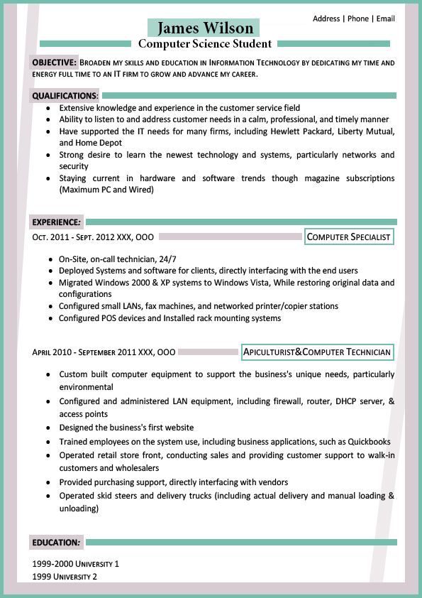 Easy Resume Format For Fresher