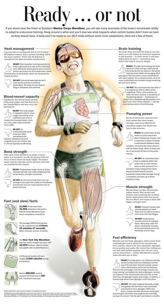 7 best motivation images on pinterest determination motivation what muscles running works