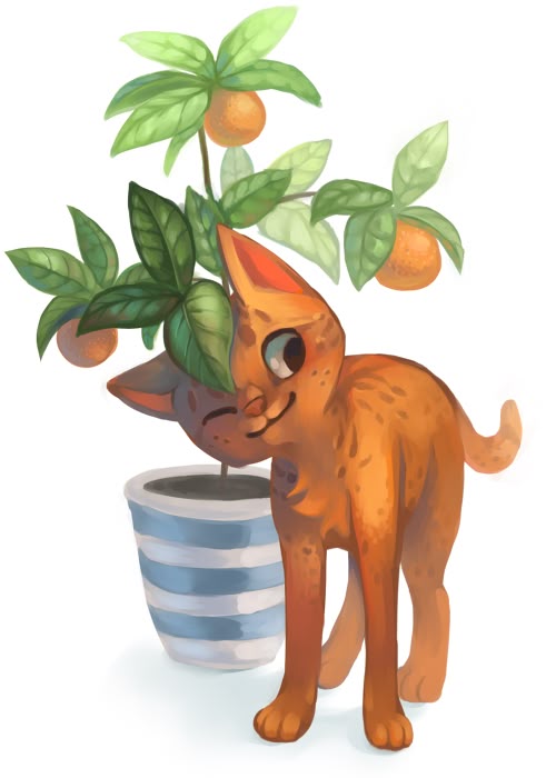 Animal Crossing Gamecube Song With Cats Animal Crossing Gamecube Song With Cats