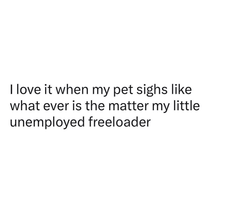 Dog Quotes Life Quotes Funny Animal Quotes Funny Jokes Hilarious Dog Quotes Life Quotes Funny Animal Quotes Funny Jokes Hilarious