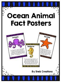 Ocean Animals Fact Posters | Ocean animals, Animal facts, Ocean fun