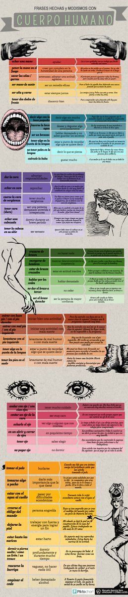 expresiones con animales spanish lesson