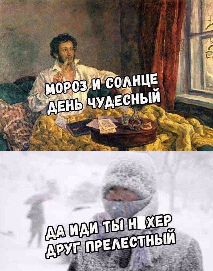 Мороз и солнце смешная картинка