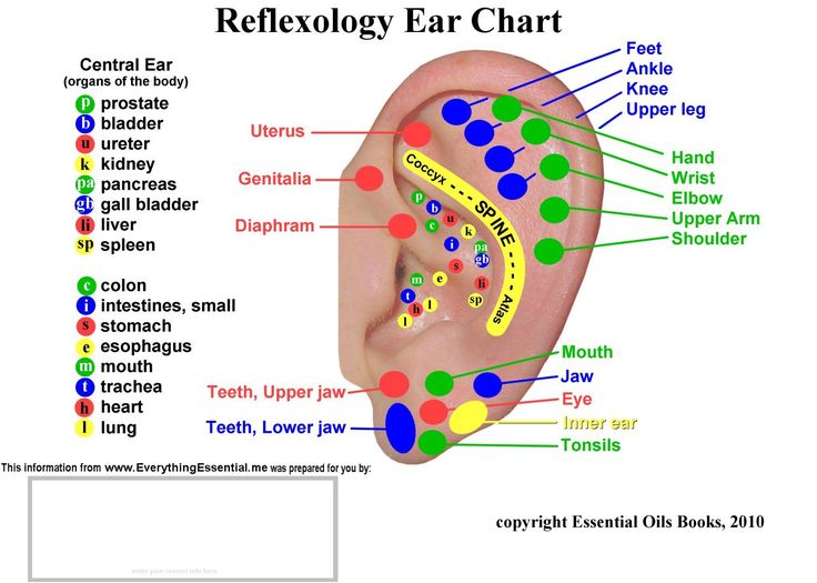 33 best ear acupressure images on pinterest acupuncture ears chart
