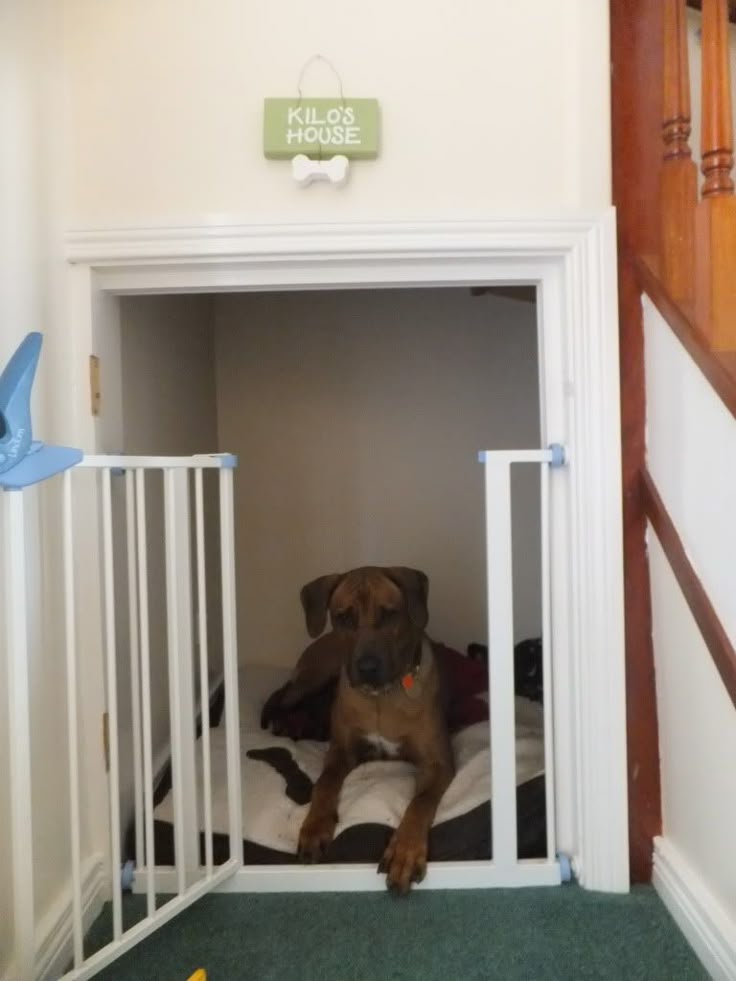 pet gates for bottom of stairs stair house would gate big short top pet gates for bottom of stairs stair house would gate big short top