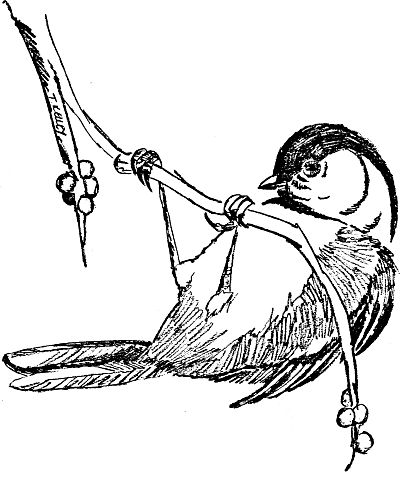 173 best Blackline - Birds images on Pinterest Coloring books - copy coloring pages birds in winter 173 best Blackline - Birds images on Pinterest Coloring books - copy coloring pages birds in winter