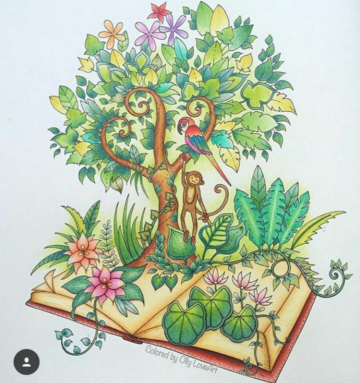 Prismacolor Pencil Art Colored Pencils Johanna Basford Coloring Book Adult Books Decoupage Colour Forests