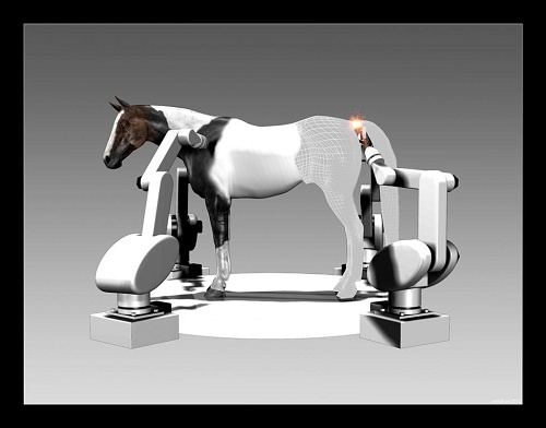 13 best Poser Gallery Animals images on Pinterest Software - 3d character animator sample resume 13 best Poser Gallery Animals images on Pinterest Software - 3d character animator sample resume