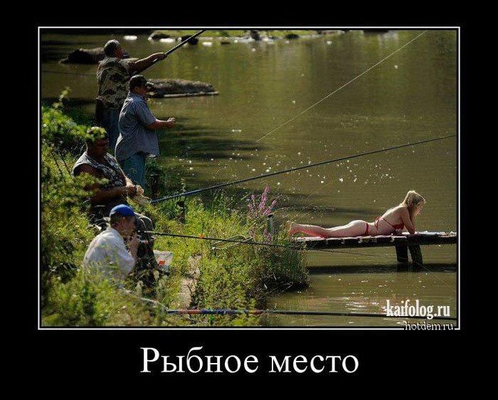 Что-нибудь прикольное картинки