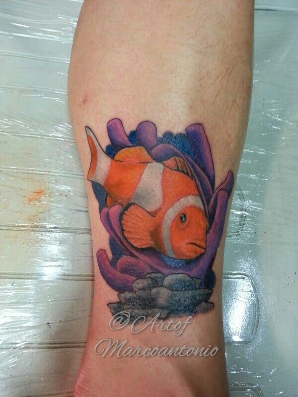 color clown fish and coral tattoo art on skin tattoos color clown fish and coral tattoo art on skin tattoos