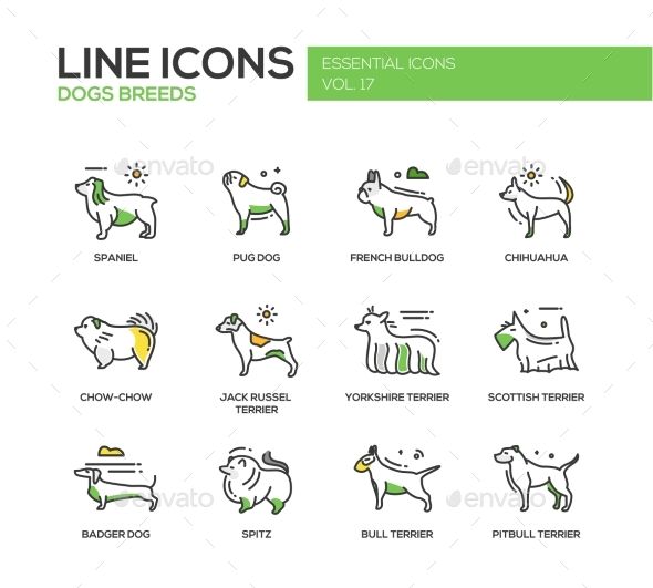 13 best pets images on Pinterest Cat drawing, Dog cat and Dog - online küchenplaner ikea 13 best pets images on Pinterest Cat drawing, Dog cat and Dog - online küchenplaner ikea