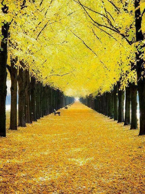 71 best Landscape images on Pinterest Landscaping, Nature and - Segmüller Friedberg Küchen 71 best Landscape images on Pinterest Landscaping, Nature and - Segmüller Friedberg Küchen