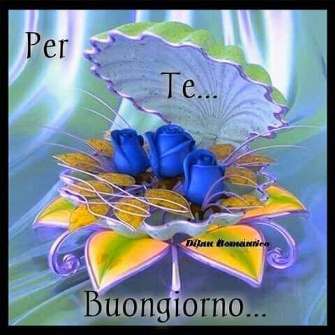 Tutti.ch partnersuche