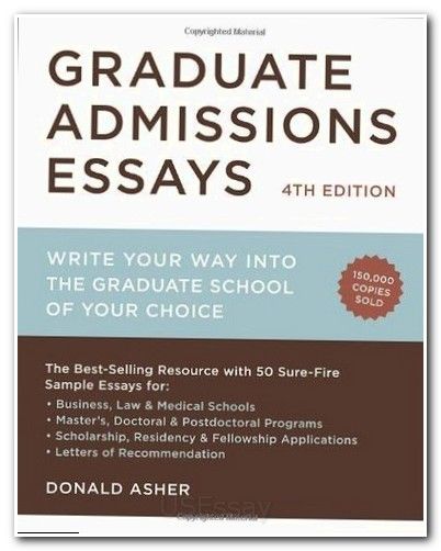 essay essayuniversity argumentative essay hamlet literary essay literary essay definition
