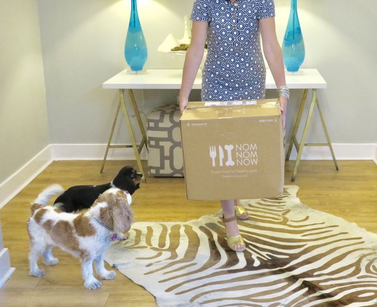 How To Keep Your Best Pet Food For Your Cat Fresh Best Cat Food Cats Food Animals