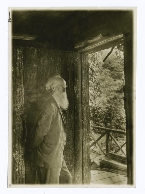 john burroughs american naturalist and essayist john burroughs american naturalist and essayist
