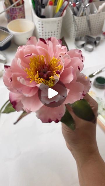 Catarina Bitar On Instagram Pe nia Em Massa Comest vel Todo Detalhe Catarina Bitar On Instagram Pe nia Em Massa Comest vel Todo Detalhe