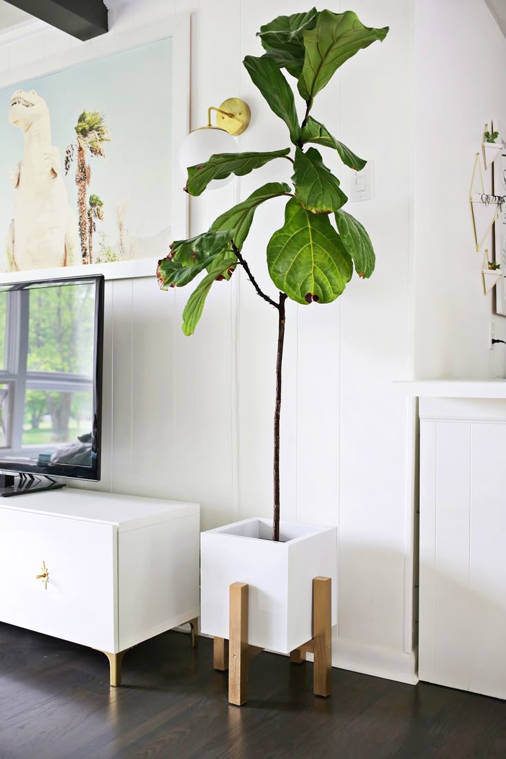 Mid century wooden plant stand DIY click through for tutorial 23 best Modern images on Pinterest beautiful house plant stand. Mid century wooden plant stand DIY click through for tutorial 23 best Modern images on Pinterest