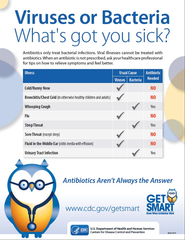 Erythromycin Antibiotic Resistance