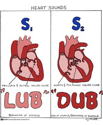 Heart sounds made super easy recipes Heart sounds made super easy recipes