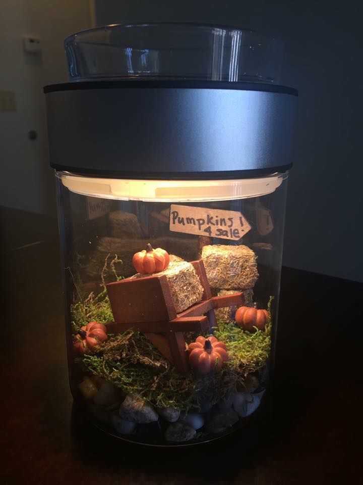 how perfect is this make a scene warmer for halloween order yours today and make your scene just in time for october - Halloween Catalog Request how perfect is this make a scene warmer for halloween order yours today and make your scene just in time for october - Halloween Catalog Request