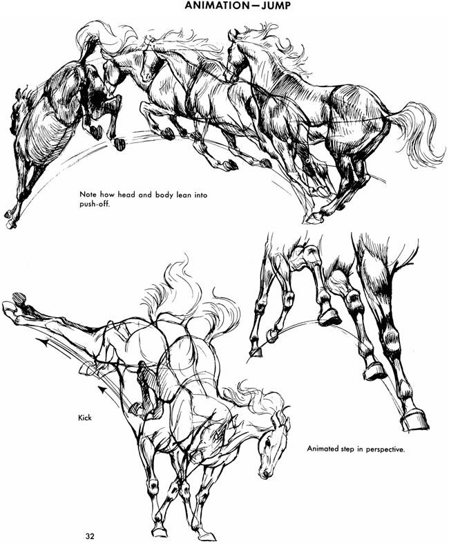 44 best Drawing ideas images on Pinterest | Animal