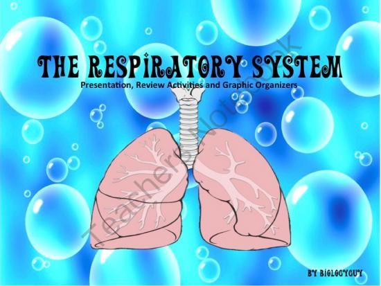 respiratory system powerpoint