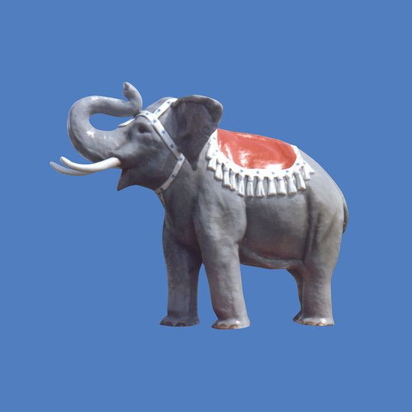 Circus Elephant 9 H 7044 Animals Wild Circus Elephant Animals
