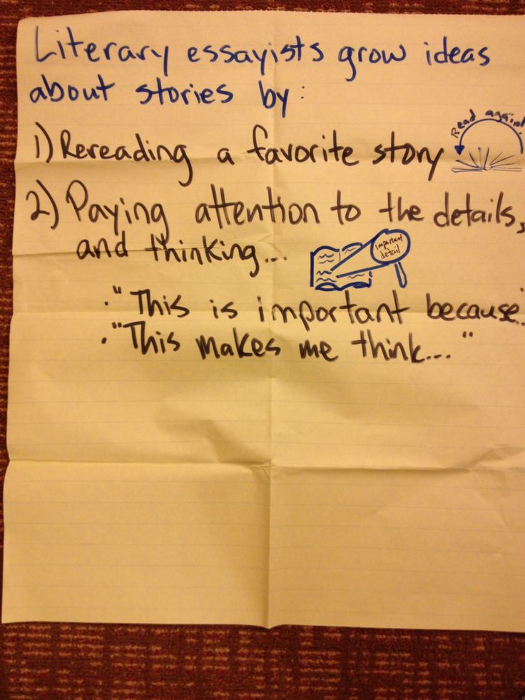 literary essay writing