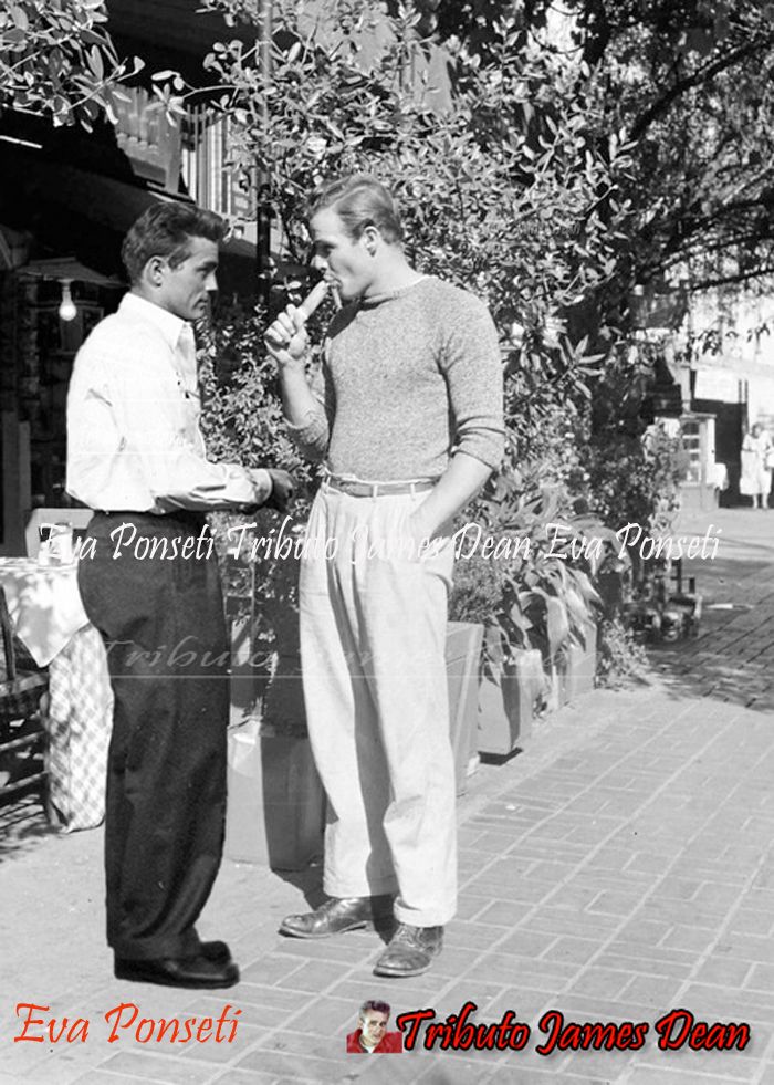 J.Dean, Marlon Brando | Marlon brando, Marlon, Edward clark