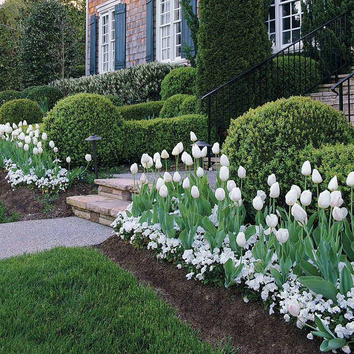 Go For Bold With 3 M Planting Ideas Green White Landscaping Go For Bold With 3 M Planting Ideas Green White Landscaping Pinterest Garden Plants And