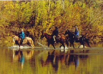Ashley Near Me >> Best trails ever! CCTR near Eminence, MO. | Trail Rides ... Ashley Near Me >> Best trails ever! CCTR near Eminence, MO. | Trail Rides ...