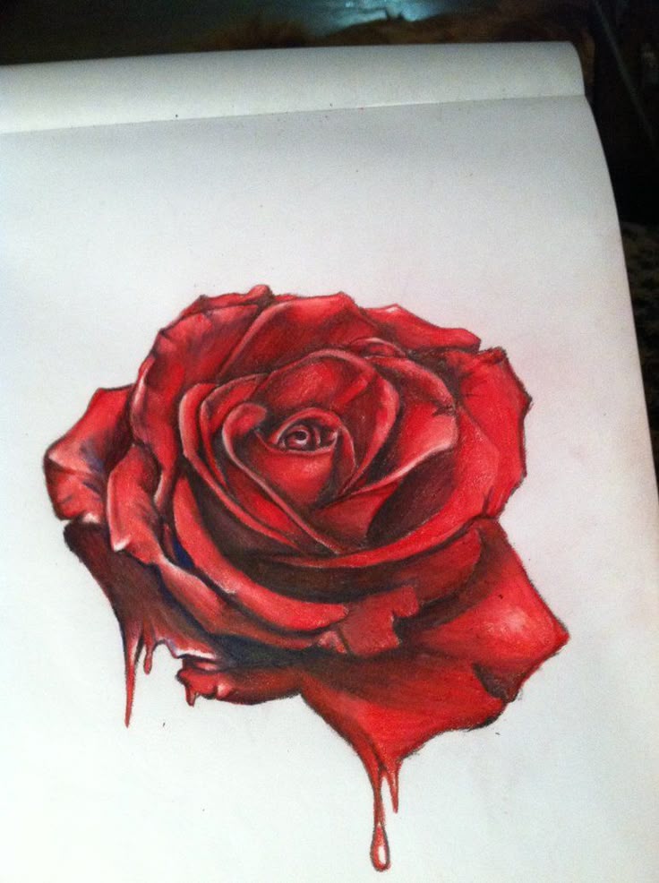 25 beautiful bleeding rose ideas on pinterest blood 25 beautiful bleeding rose ideas on pinterest blood